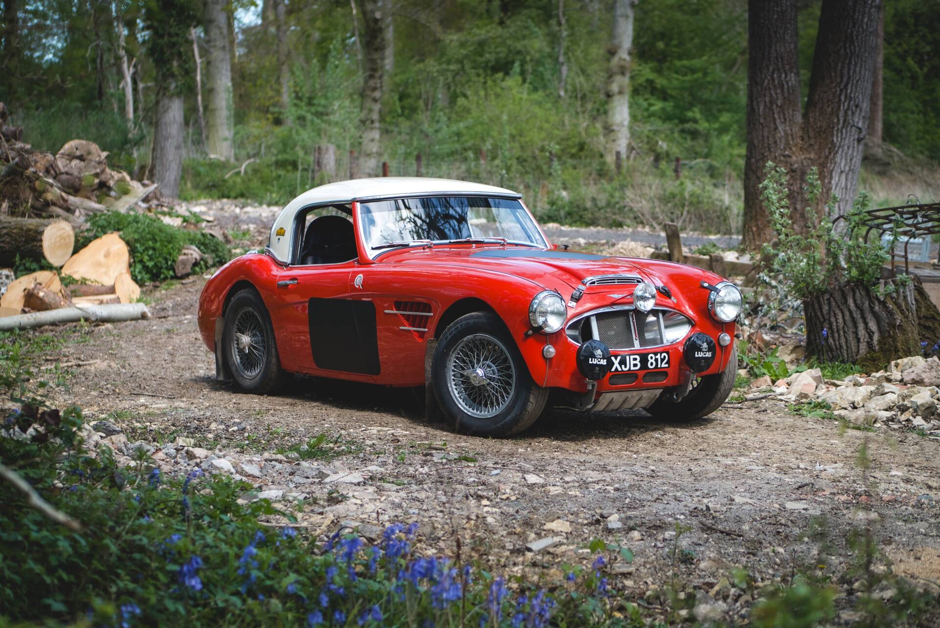 austin healey rally auto.jpg