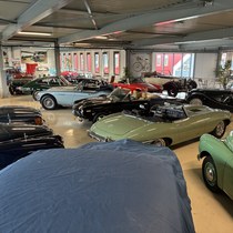 IMG_1518.JPG