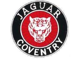 Artikelen voor Jaguar